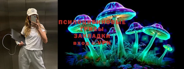 герыч Каменногорск