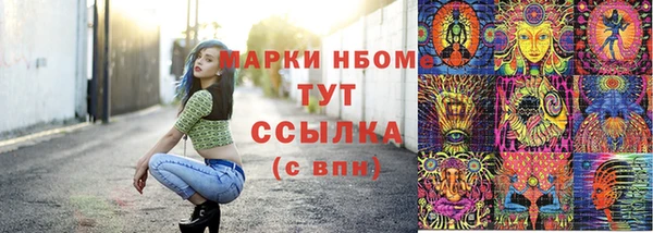 герыч Каменногорск