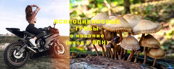 герыч Каменка