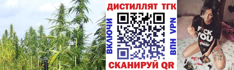 ТГК концентрат  Купить где  Избербаш 